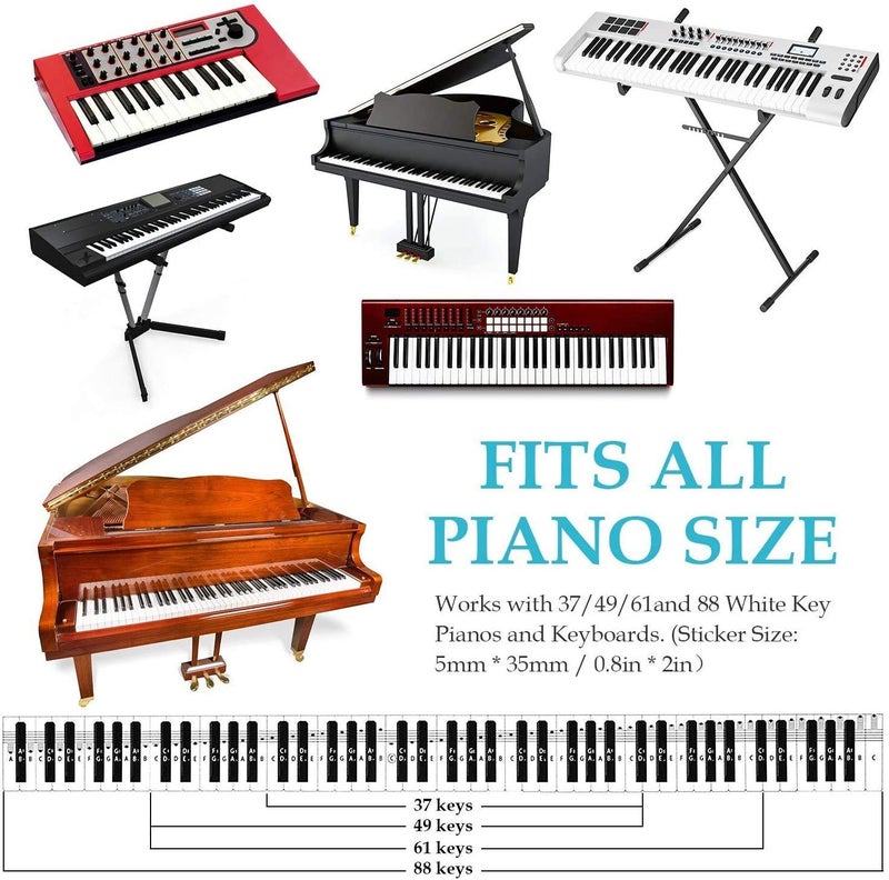 MUYOS Piano Keyboard Stickers for Beginners, Reusable & Protective Piano Key Labels, Piano Note Stickers Overlay for Full Size Pianos(Sticker-MixColor) - Image 4